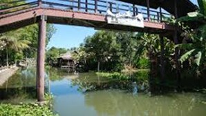 A wooden bridge over a calm river, surrounded by lush greenery. - Baan Suanaomsuk (Pak Tho)