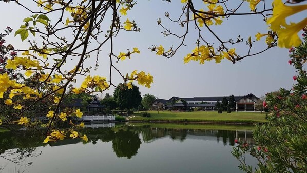A serene lakeside view with a traditional building, a gazebo, and a well-maintained lawn.
