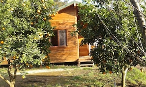 A wooden cabin with a window and a door, surrounded by trees with orange fruits. - Villa Halil Bungalow (Kemer)