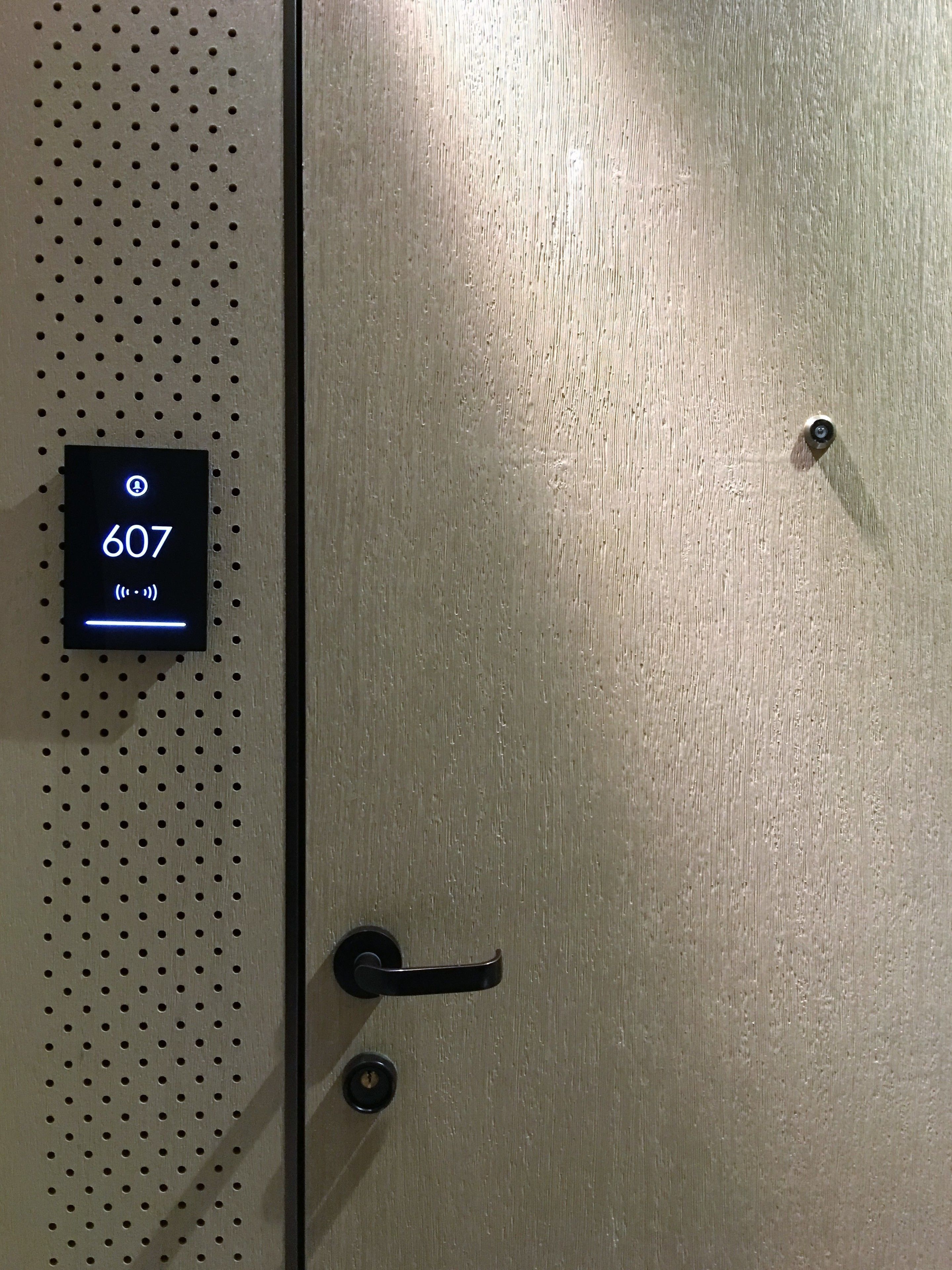 A metallic door with a digital lock and a keypad displaying the number 607.