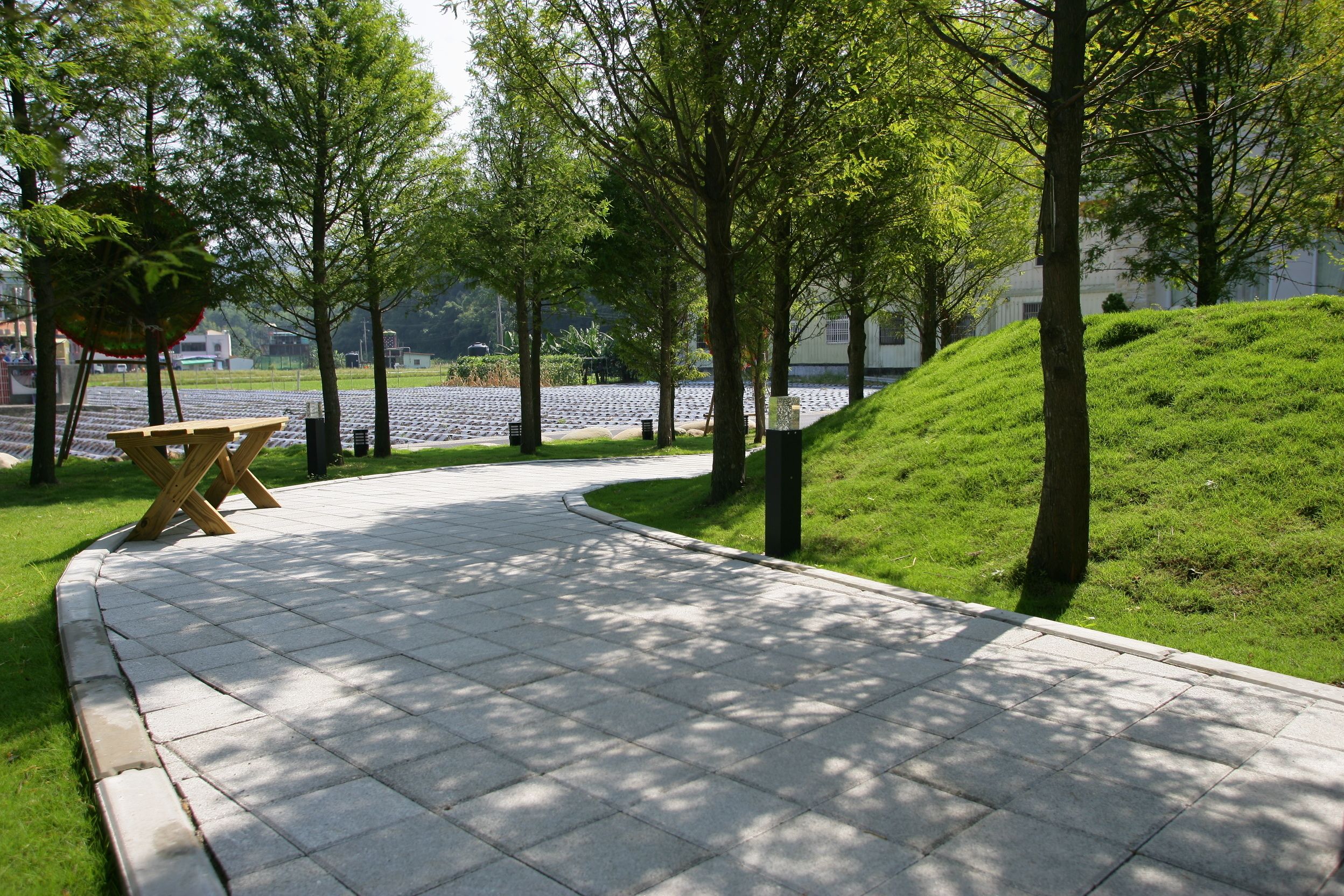A paved pathway with a wooden bench and trees.