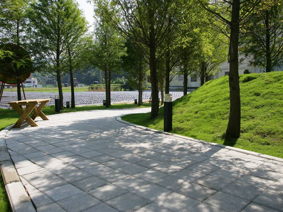 A paved pathway with a wooden bench and trees.