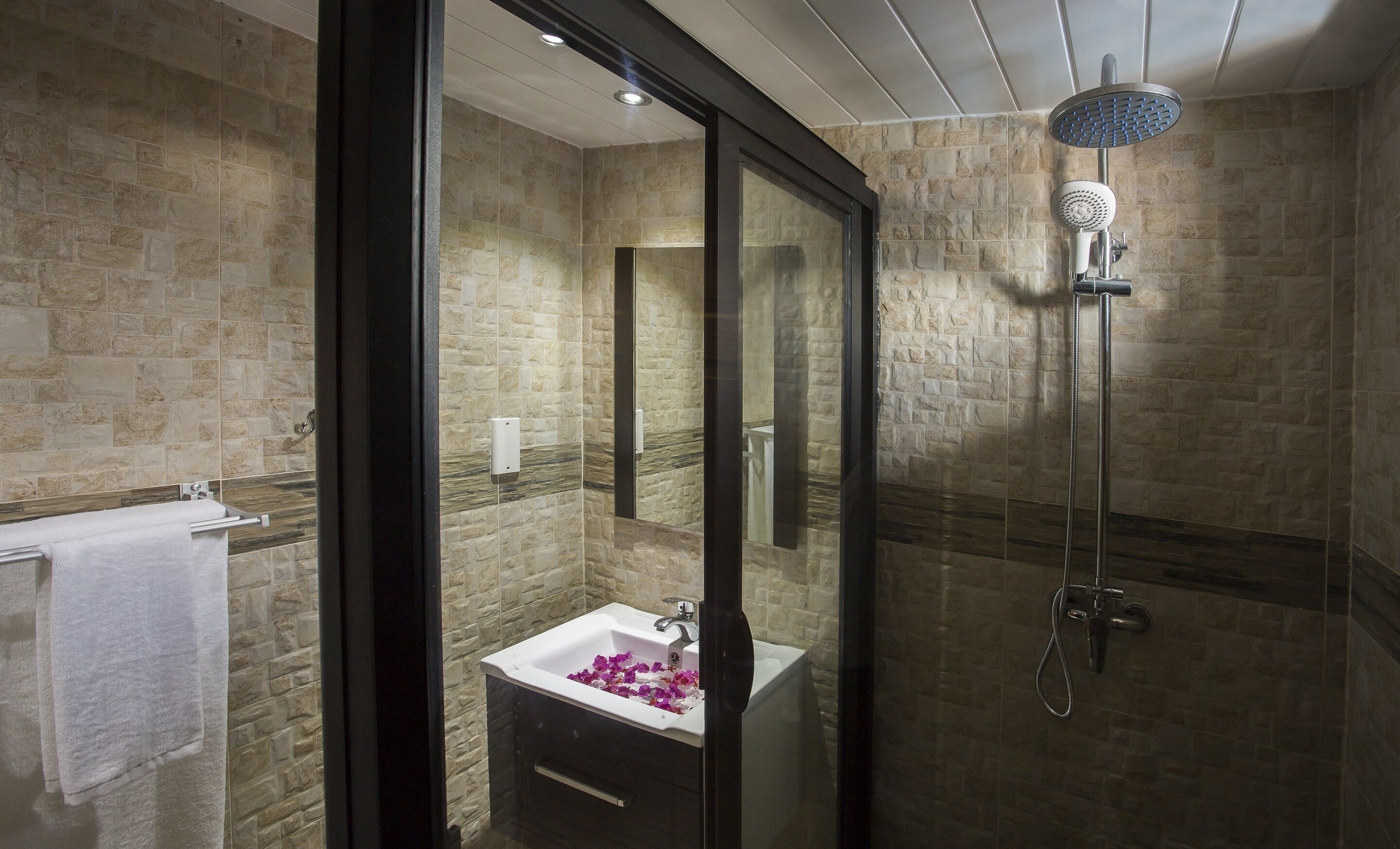 Shower, hair dryer, towels