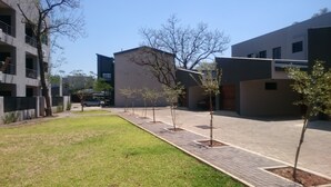 A modern building with a paved courtyard, young trees, and a car parked in the background.