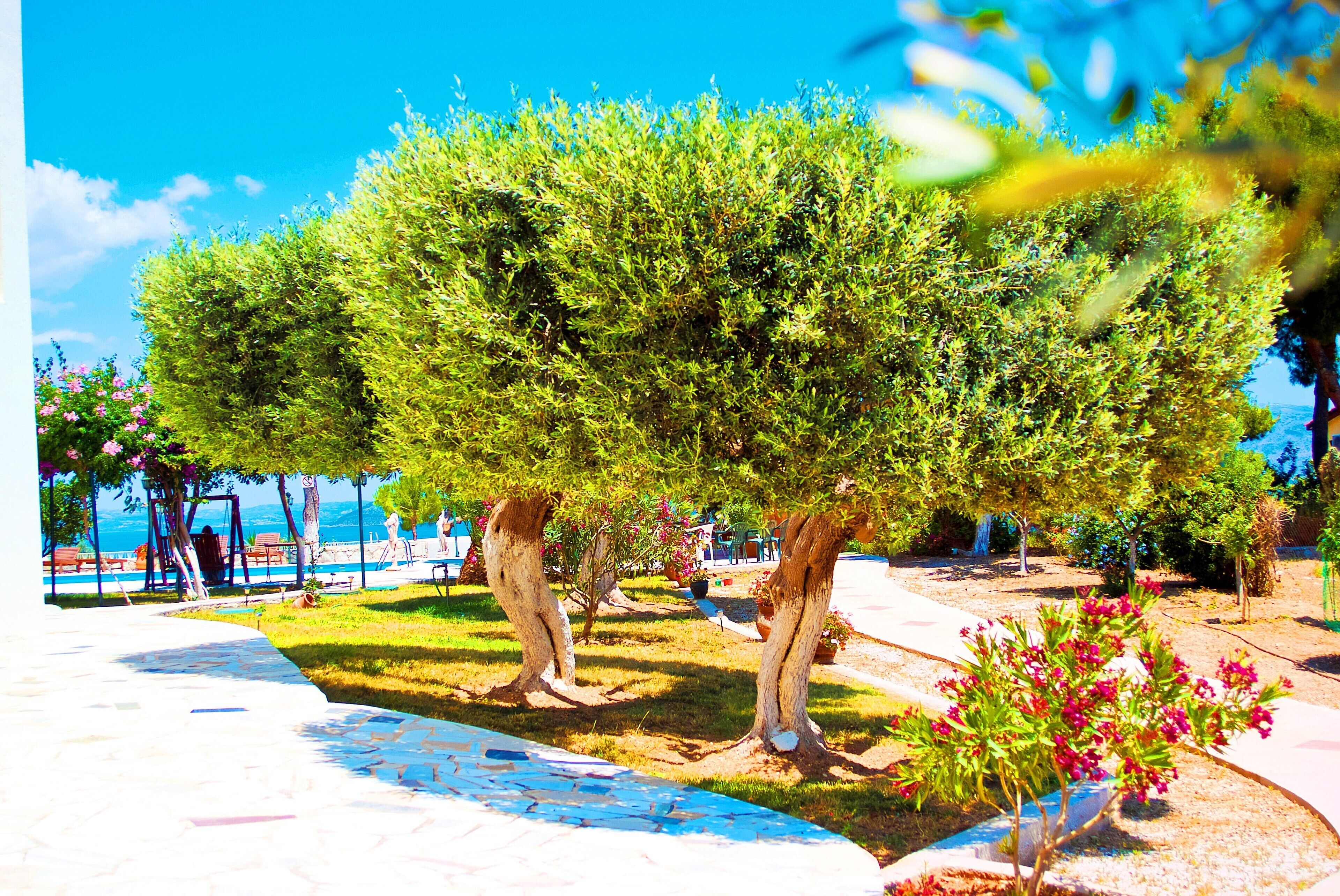 Outdoor pool, open 9:00 AM to 9:00 PM, pool umbrellas, sun loungers