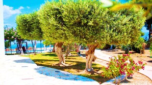 Un jardín con árboles y un sendero empavedado.