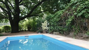 Outdoor pool, sun loungers