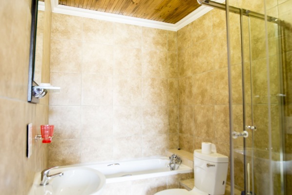 Executive Room | Bathroom | Shower, free toiletries, hair dryer, bathrobes