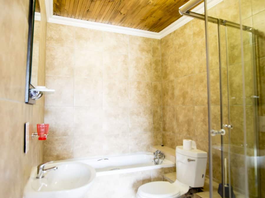 Chambre Exécutive | Salle de bain | Douche, articles de toilette gratuits, sèche-cheveux, peignoirs