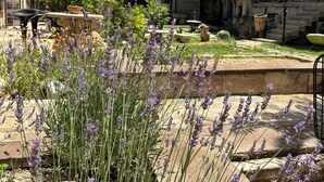 A courtyard with lavender plants, stone benches, and a fountain. - Mozaik Otel (Avanos)