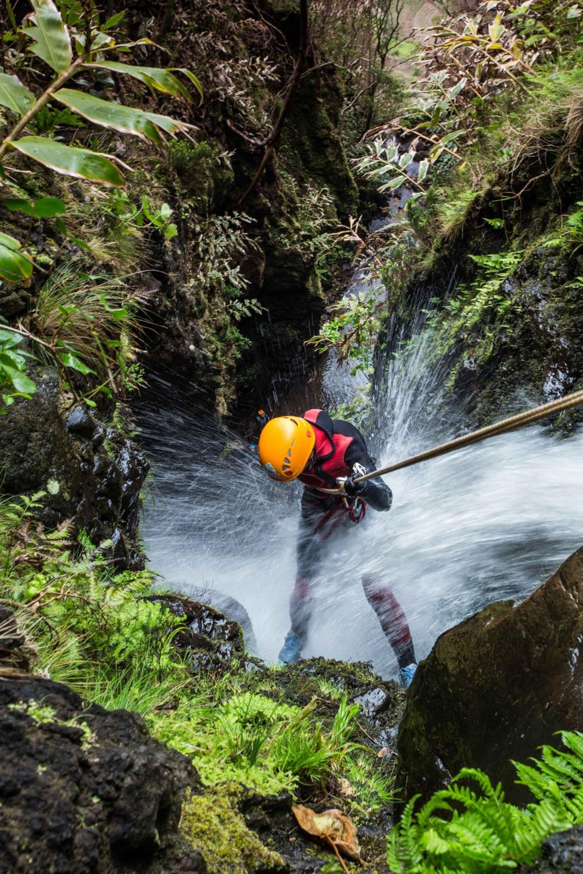 Uma pessoa faz rappel por uma cascata rochosa e coberta de musgo, numa área arborizada.