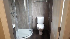 A small, compact bathroom with a toilet, a glass shower enclosure, and a wooden wall.