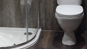 A bathroom with a toilet and a shower area.