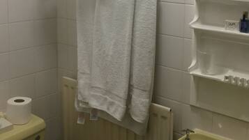 A bathroom with a white towel hanging on a rack, a toilet paper roll, and a sink with a mirror above it.