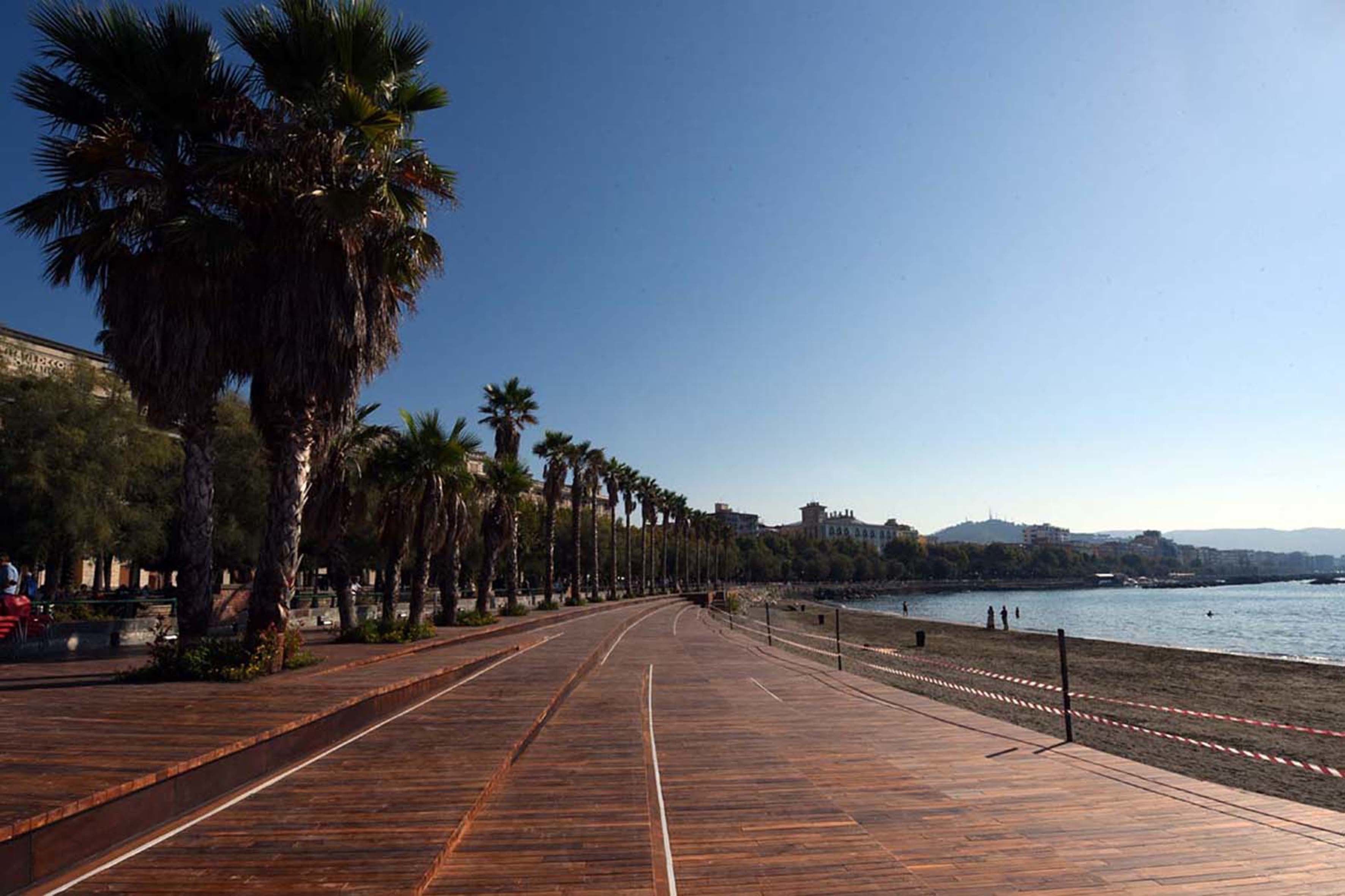 A wooden boardwalk with palm trees, a beach, and a clear sky.