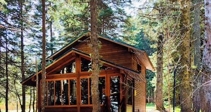Karinna Forest Houses