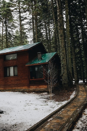 Front of property - Karinna Forest Houses (Bursa)