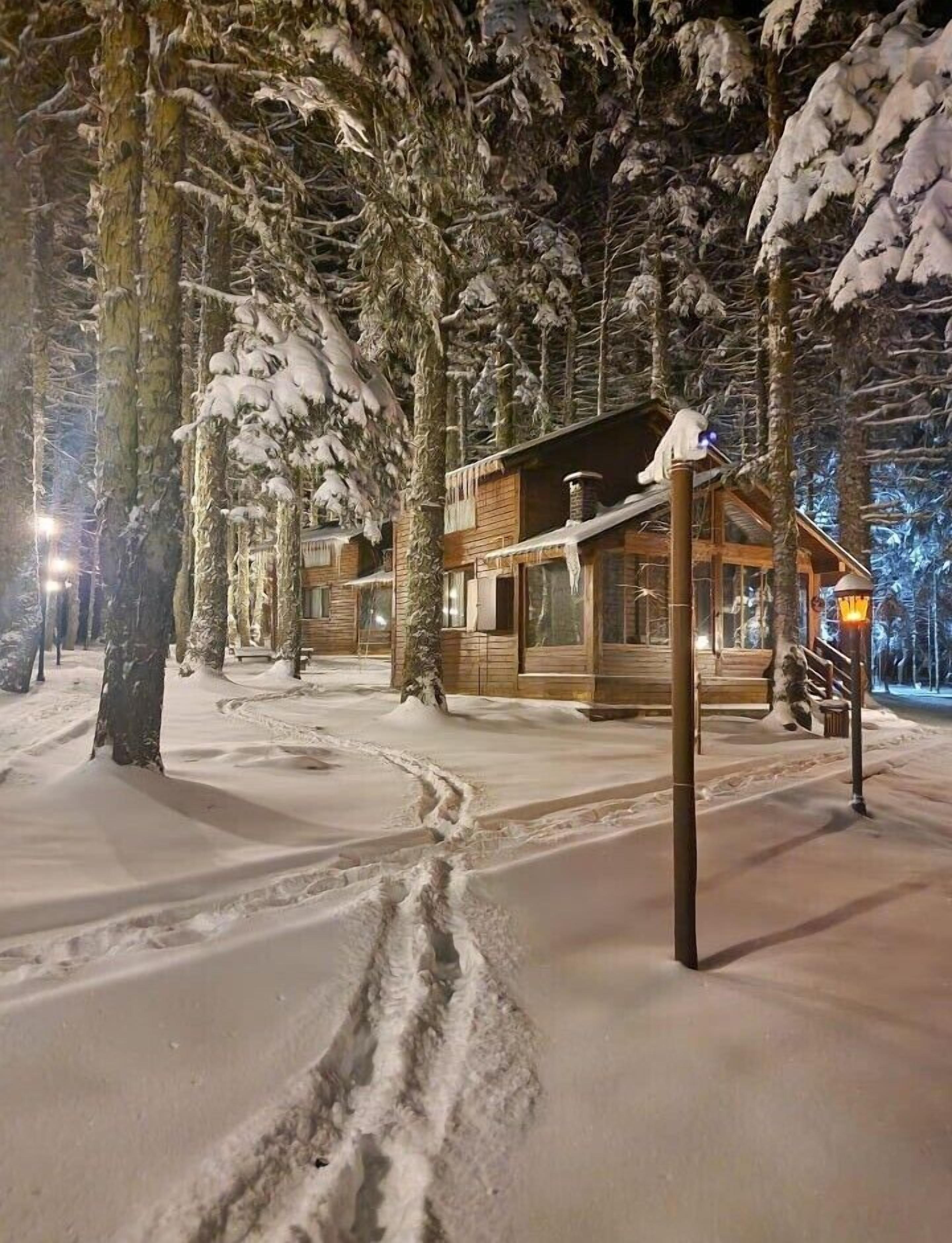 A snow-covered lodge with wooden cabins and a clear path leading to the entrance.