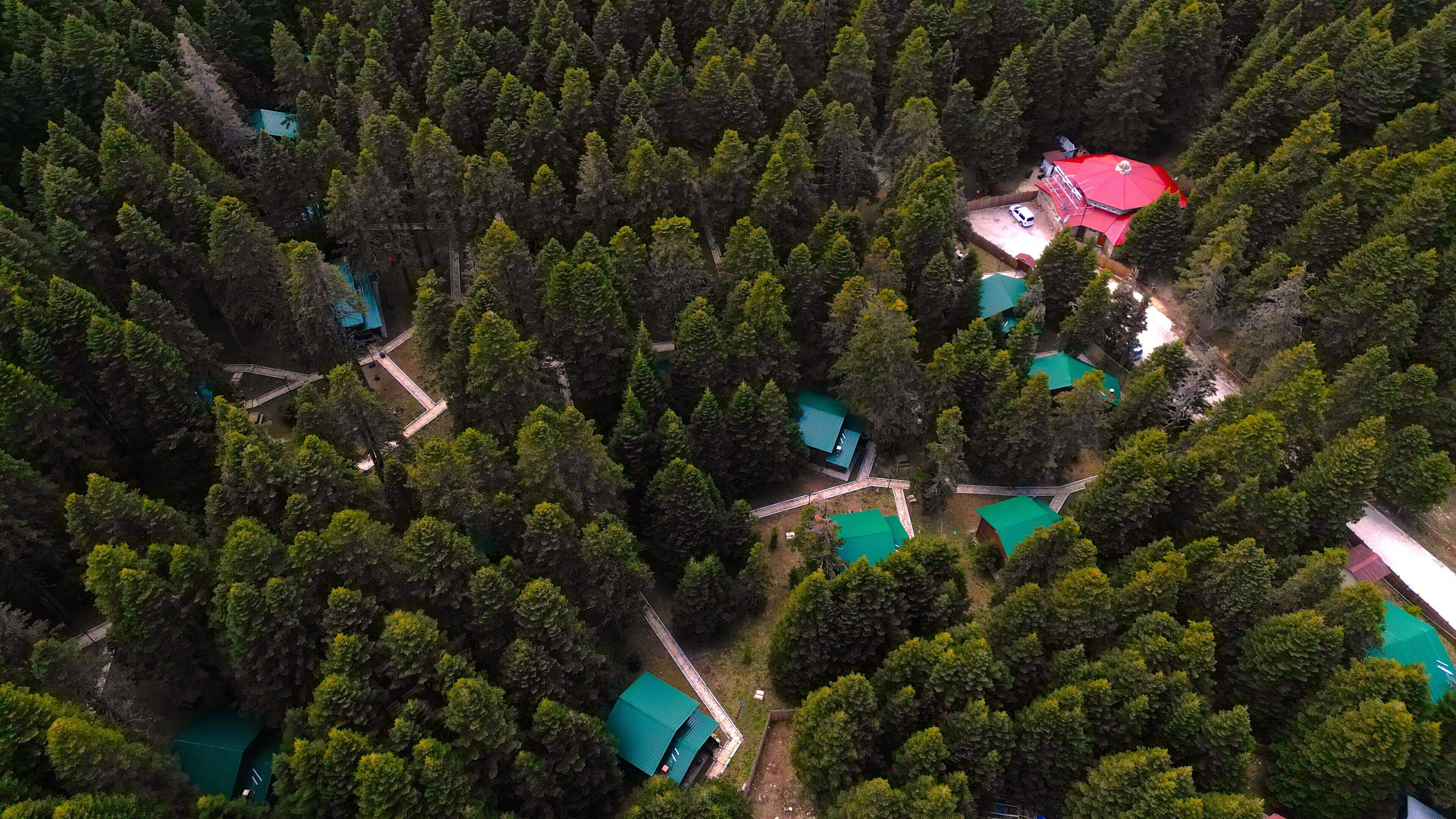 Vista aérea de una zona boscosa con varias construcciones, incluyendo una estructura de techo rojo y múltiples edificios de techo verde, rodeados de árboles densos.