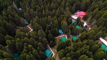 Vista aérea de una zona boscosa con varias construcciones, incluyendo una estructura de techo rojo y múltiples edificios de techo verde, rodeados de árboles densos.