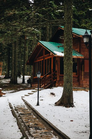 Junior chalet, 1 slaapkamer (4 Pax) | Uitzicht op de tuin