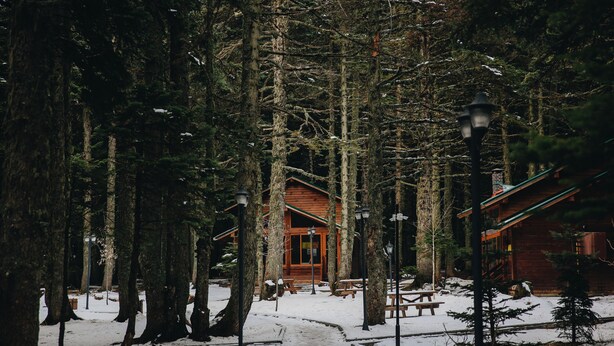 Una cabaña rodeada de altos árboles, con un suelo cubierto de nieve y un sendero de madera que lleva a ella.