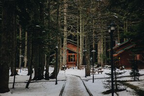 Una cabaña rodeada de altos árboles, con un suelo cubierto de nieve y un sendero de madera que lleva a ella.