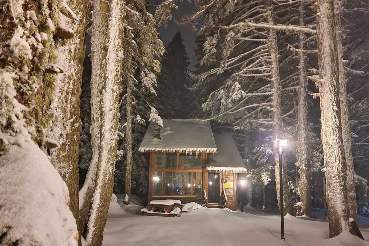 Een besneeuwde lodge met een houten gevel, grote ramen en een uitnodigende ingang.