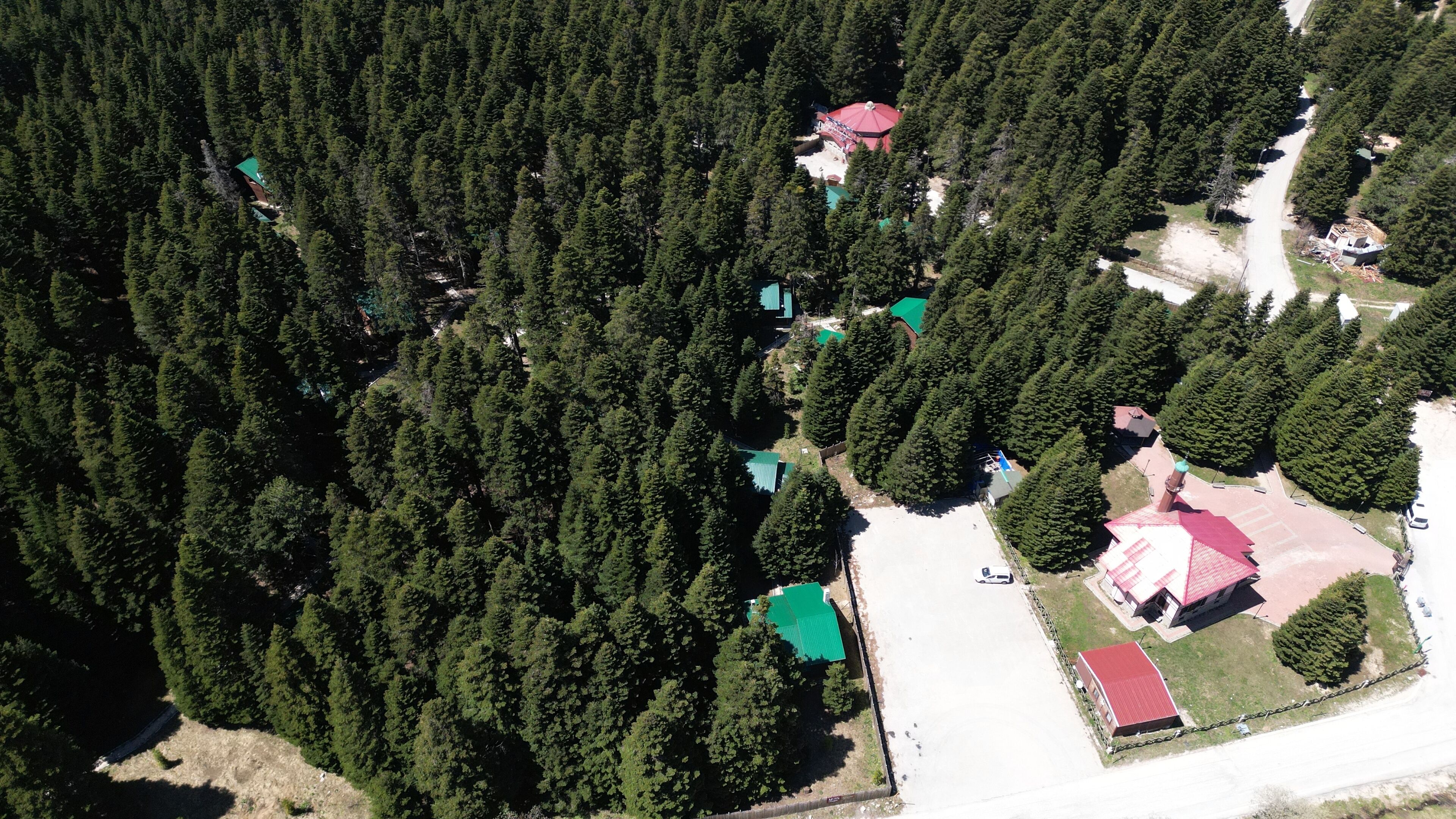 An aerial view of a forested area with several buildings, including a red-roofed structure and a green-roofed building, surrounded by dense trees.