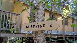 A sign on a tree that reads "GLAMPING 3". - Dominion Hill Country Inn (Digdeguash)