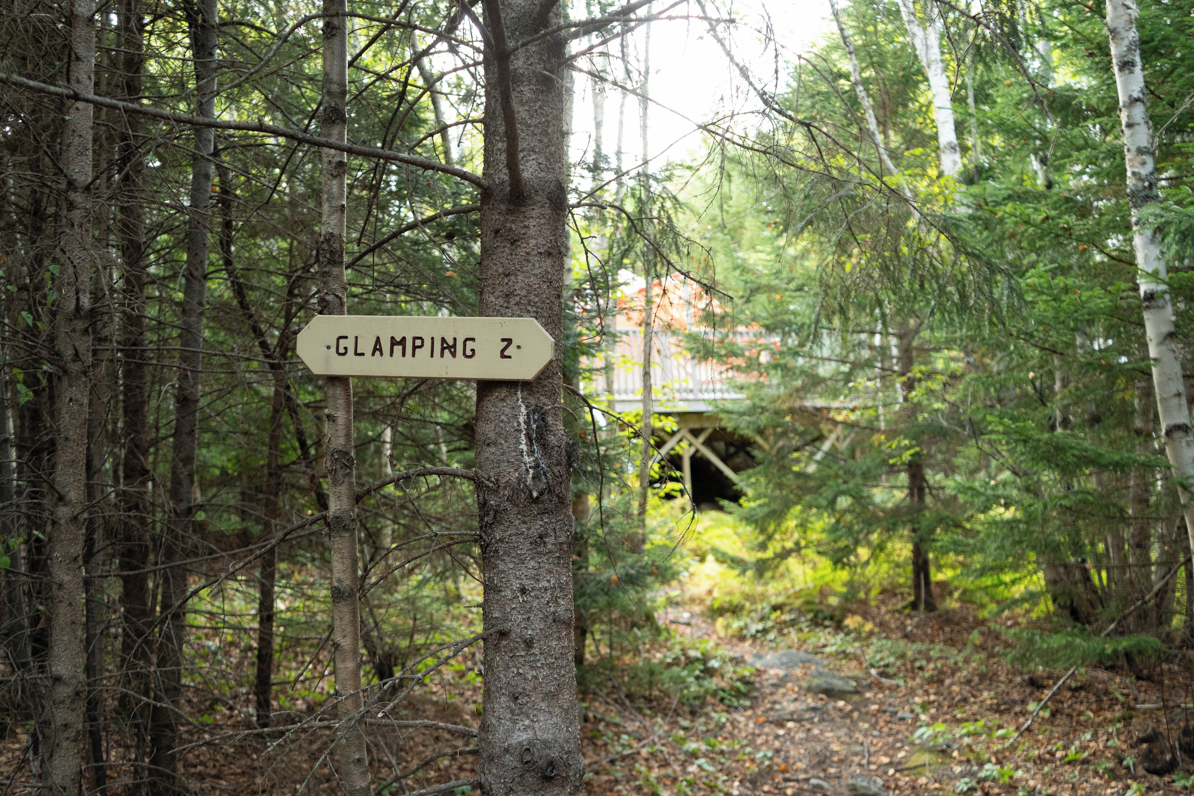 Una zona boschiva con un cartello che indica 'GLAMPING Z'.