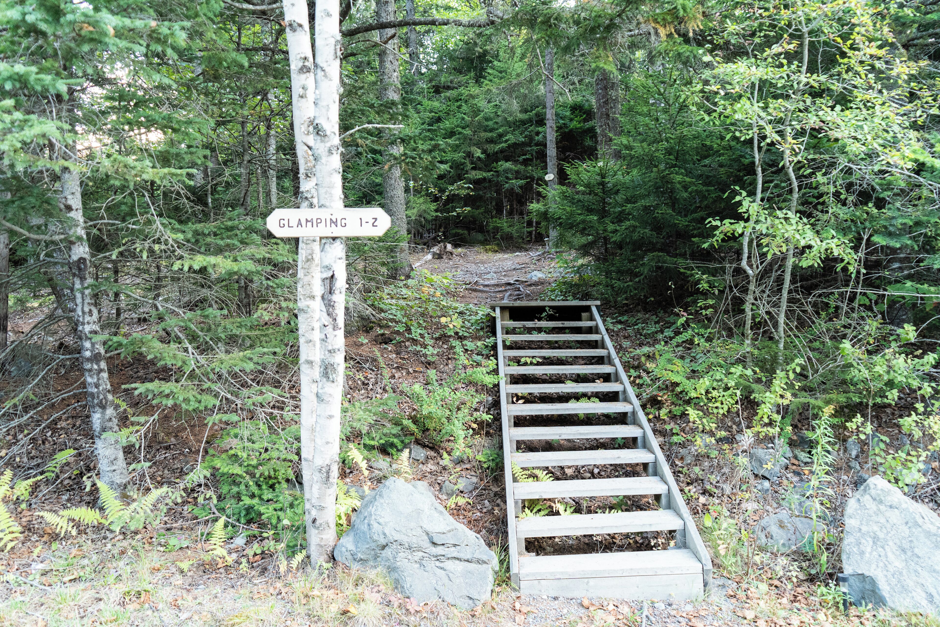 A wooden staircase leading up a forested path with a sign indicating 'GLAMING 1-2'.