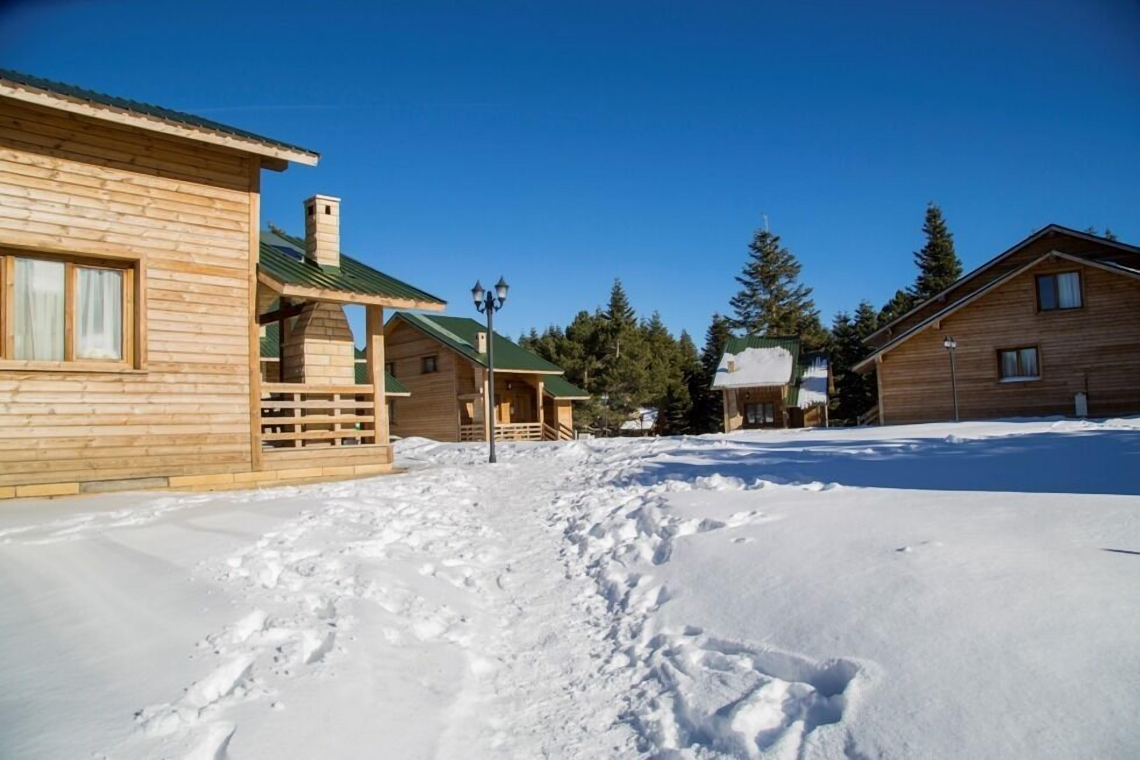 A wooden cabin-style building with a green roof, surrounded by snow-covered ground and trees.