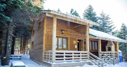 Uludag Orman Koskleri