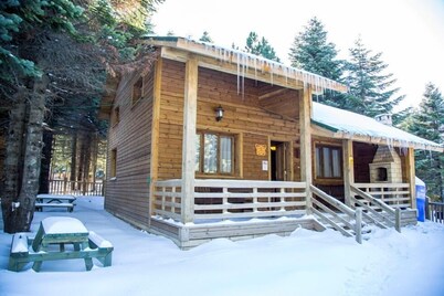 Uludag Orman Koskleri