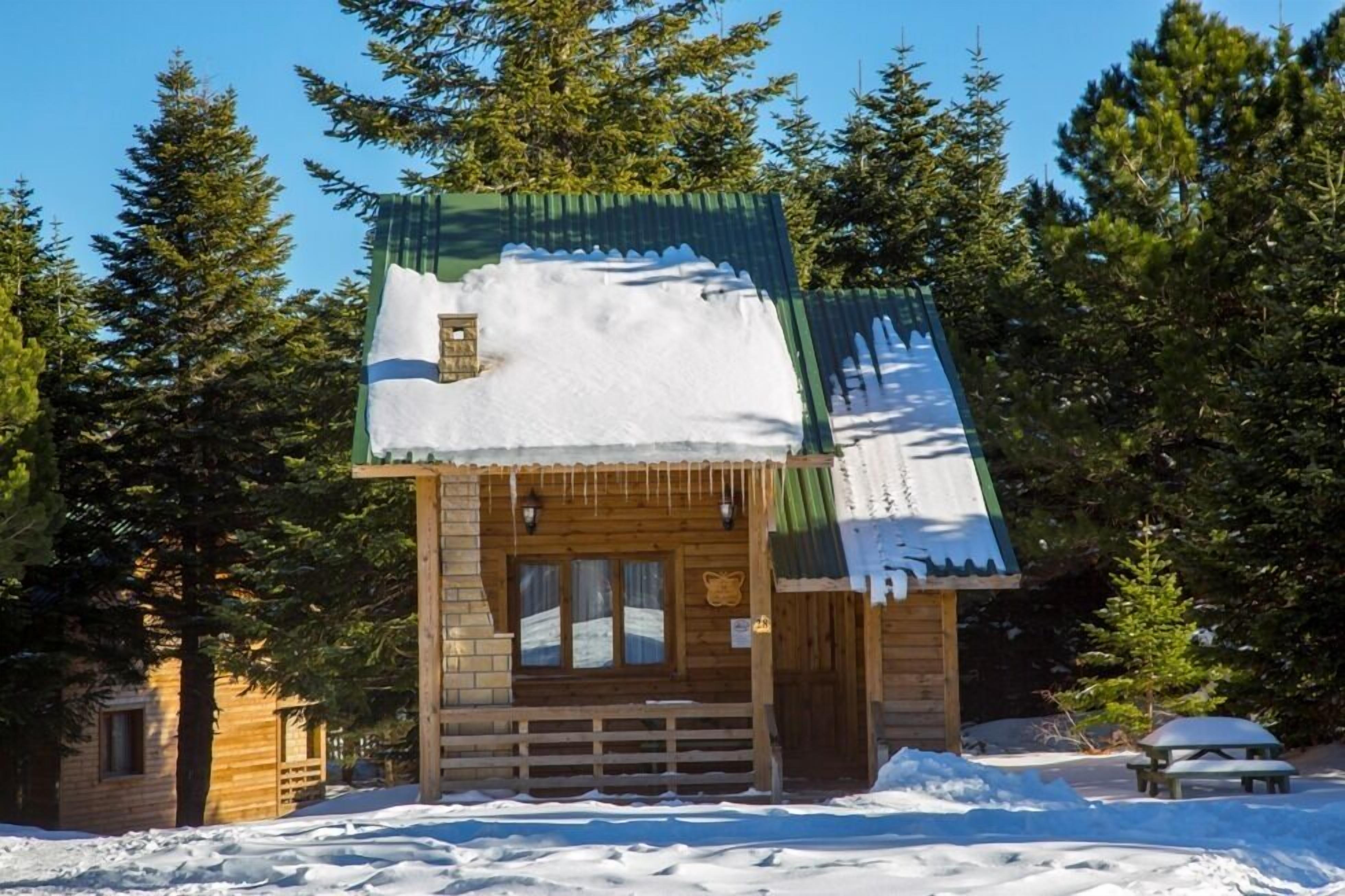 Una cabaña de madera con techo verde, rodeada de nieve y árboles.
