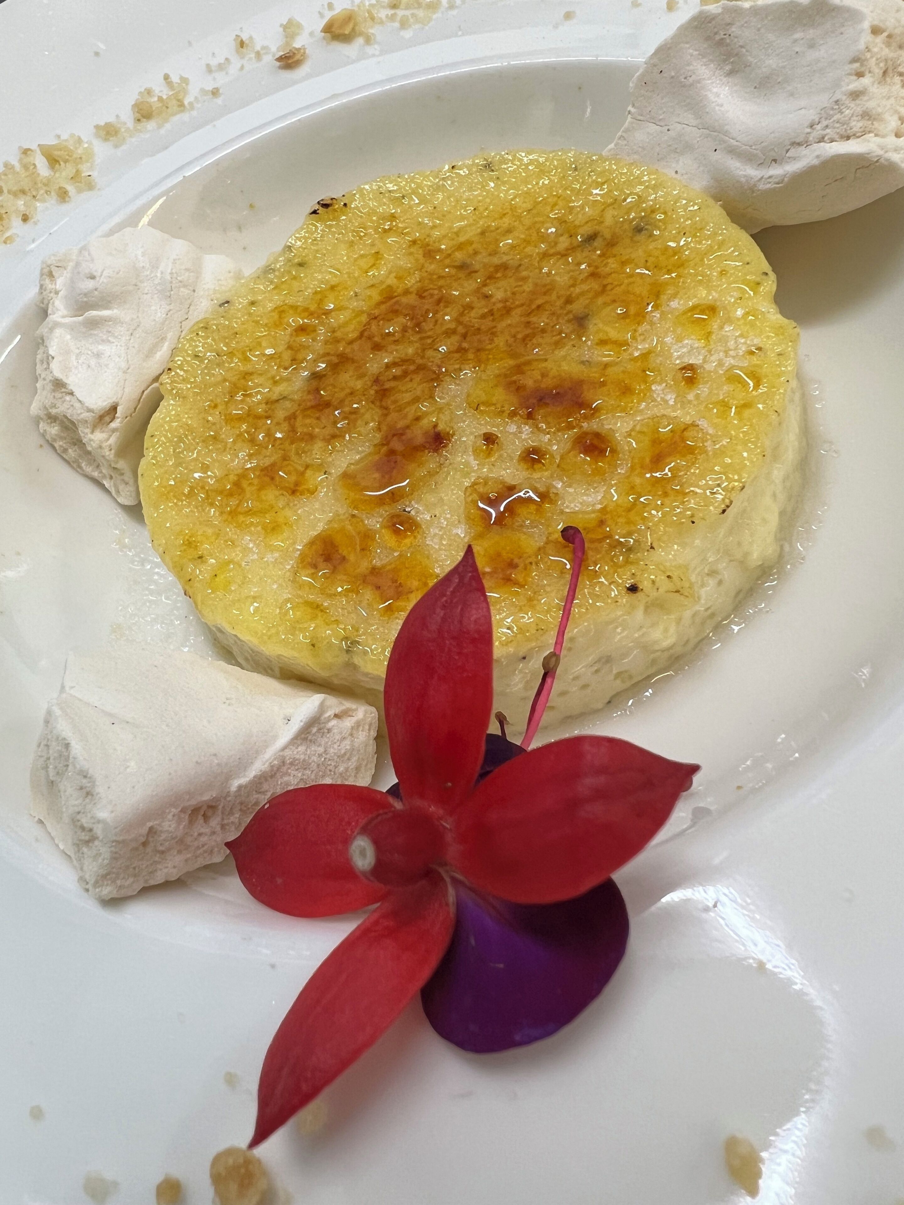 Ein Dessertteller mit cremiger Nachspeise, einem Stück Brot und einer dekorativen roten Blume.