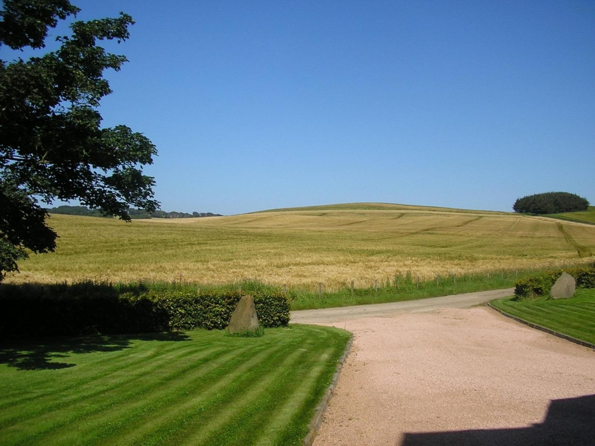 Een landelijk landschap met een onverharde weg door een veld gewassen.