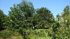 A well-maintained grassy area with several trees, likely a park or garden setting. - Balhousie Farm (Leven)