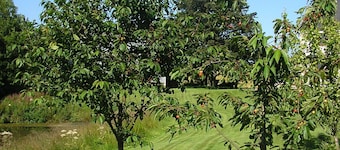 Balhousie Farm
