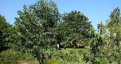 Balhousie Farm