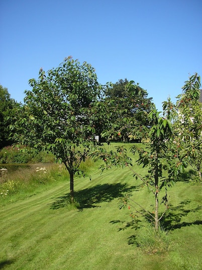 Balhousie Farm