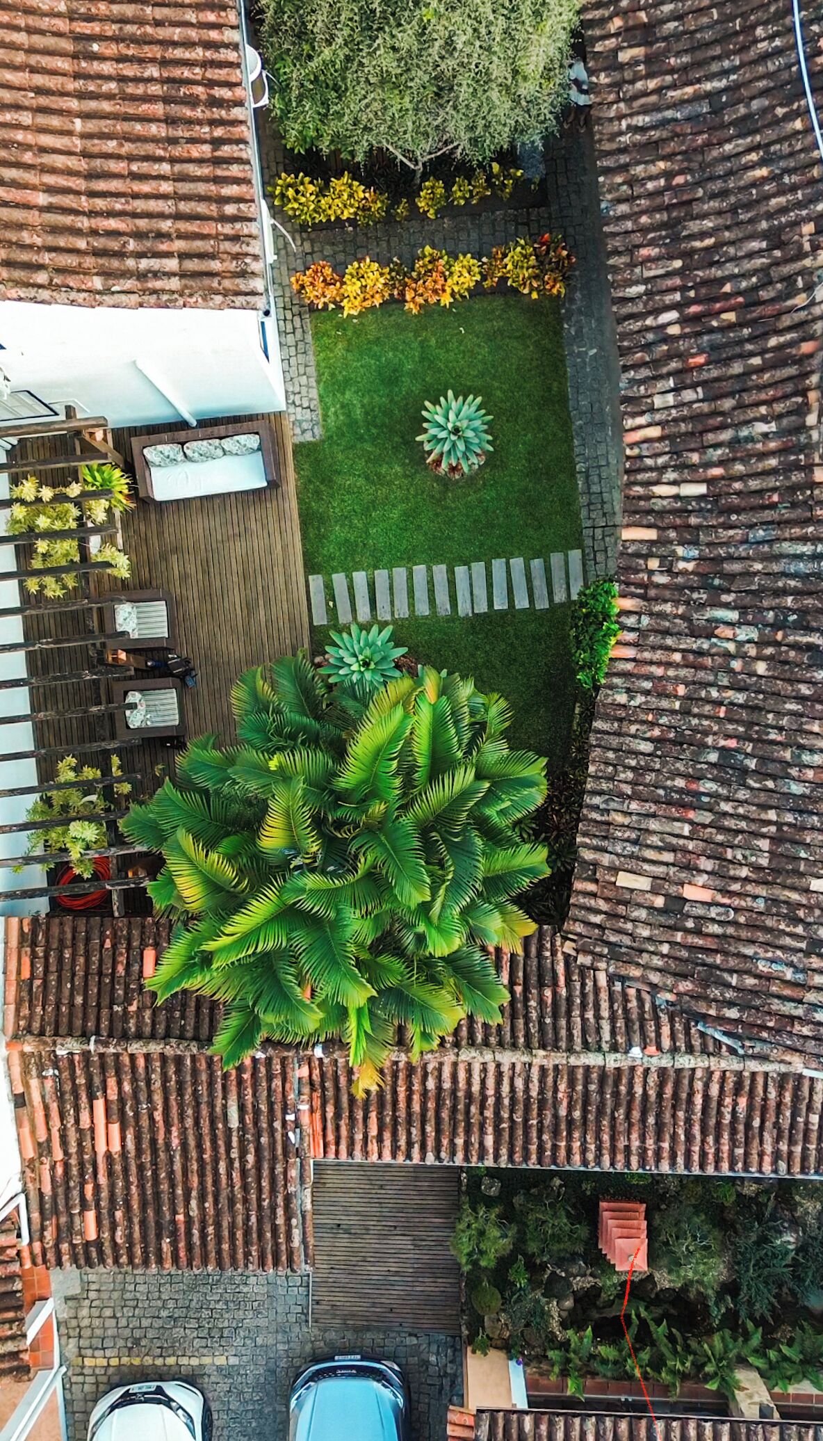 A rooftop garden with a variety of plants, a seating area with a table and chairs, and a small pool.