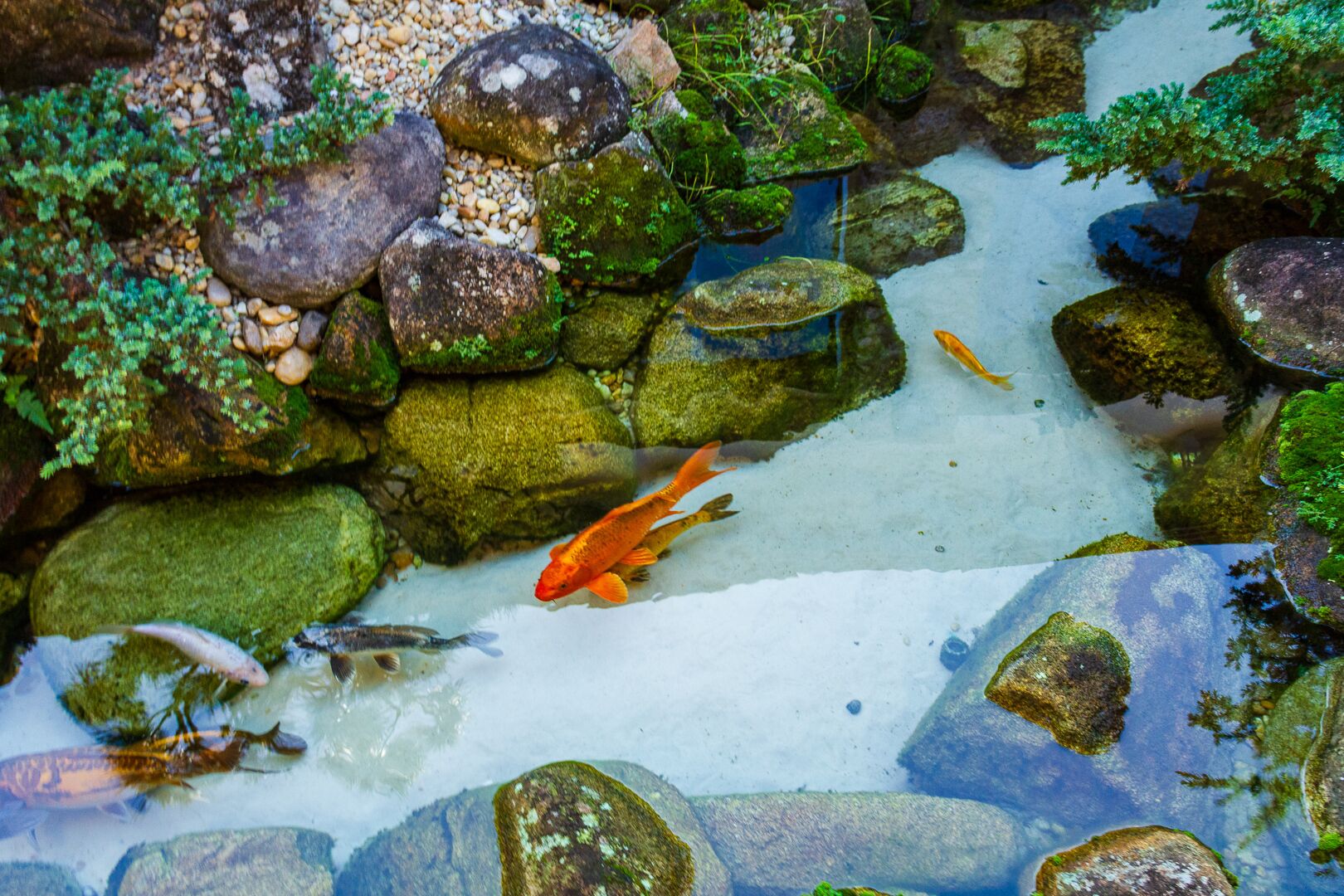 Foto - Pousada Aconchego