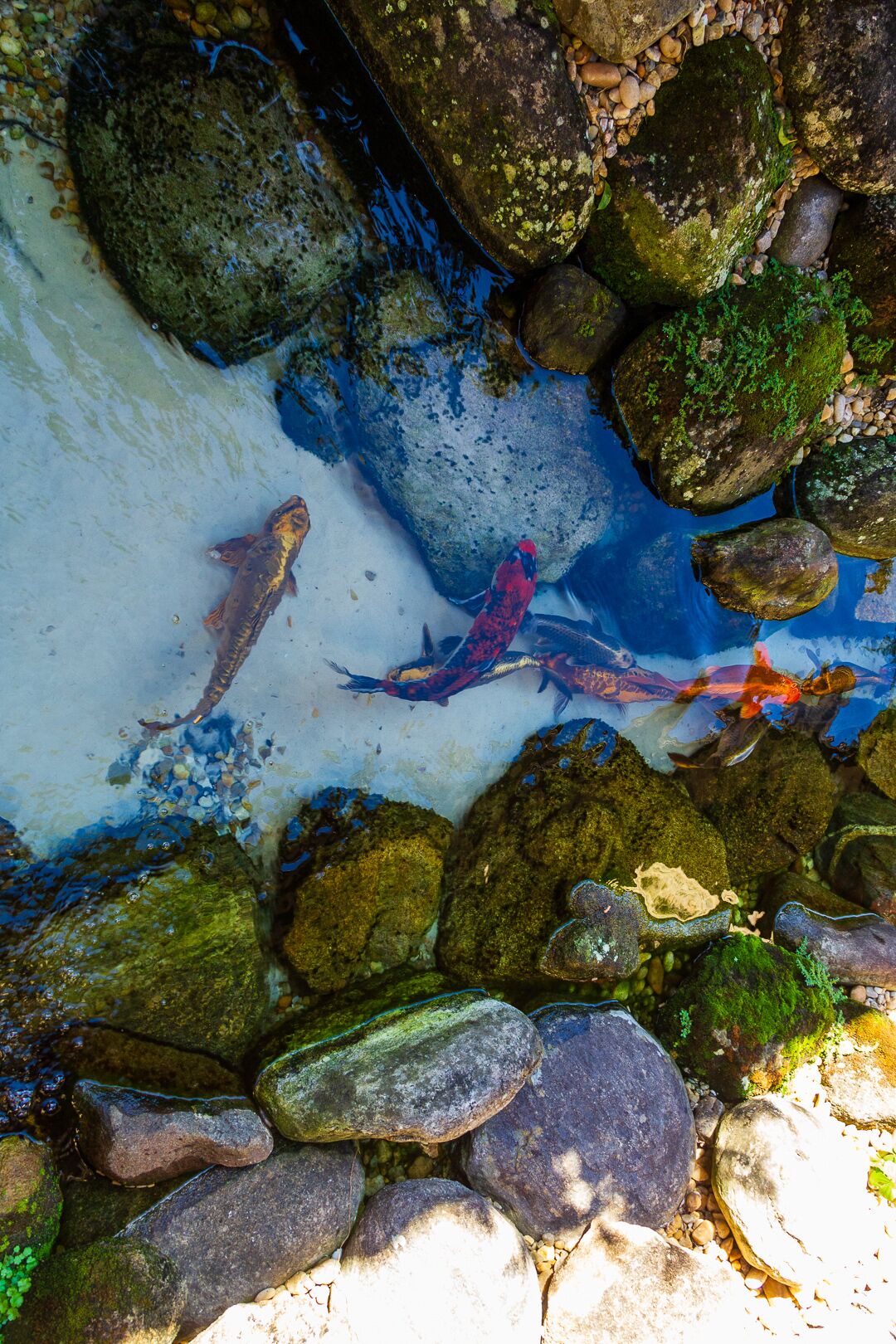 Foto - Pousada Aconchego