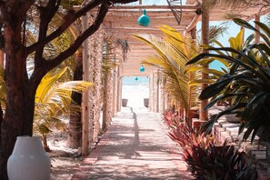 A pathway lined with palm trees and a wooden pergola with hanging lights. - Ocas do Índio Hotel Spa (Beberibe)