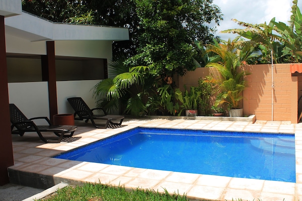 Outdoor pool, sun loungers