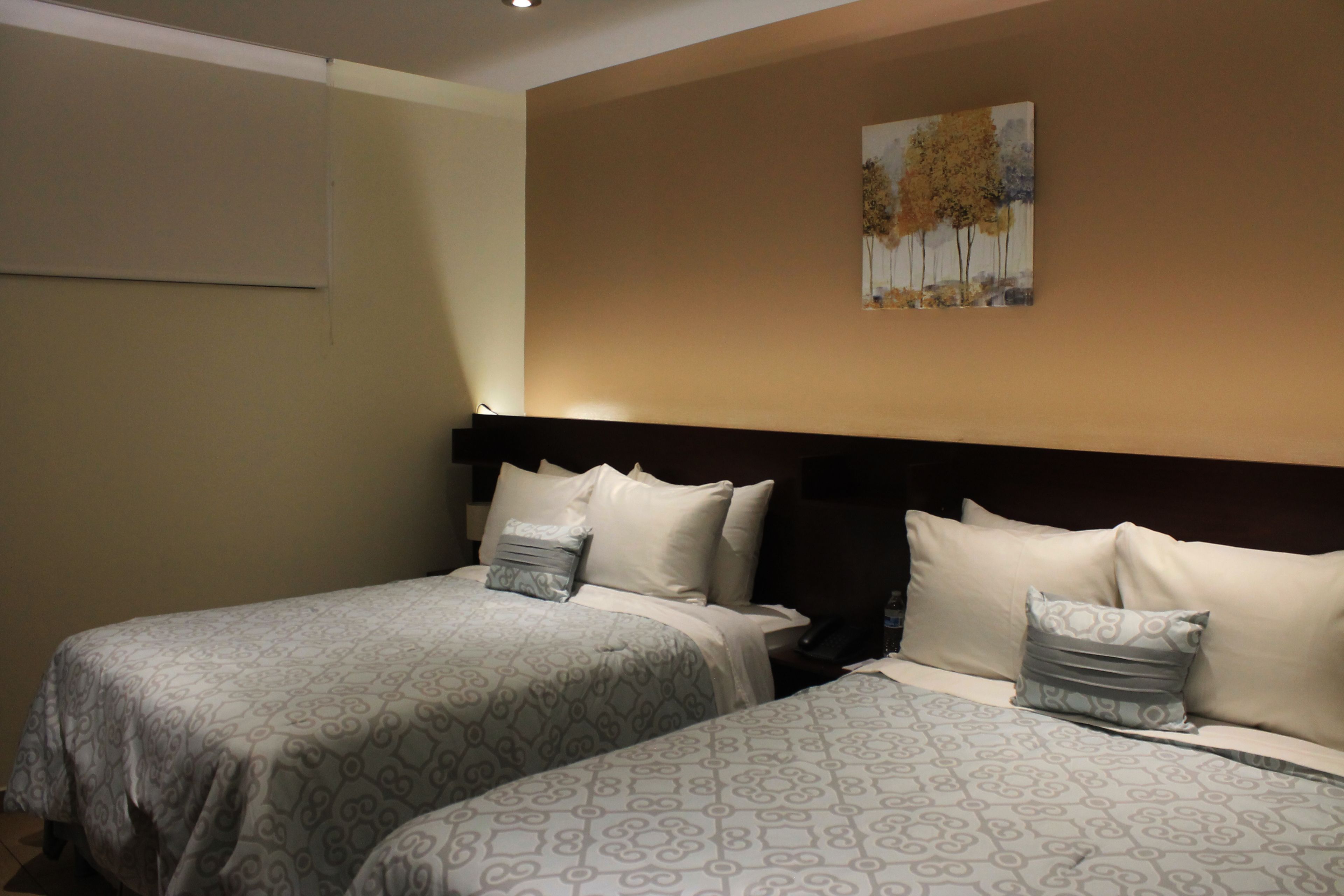 premium bedding, down duvets, select comfort beds, in-room safe