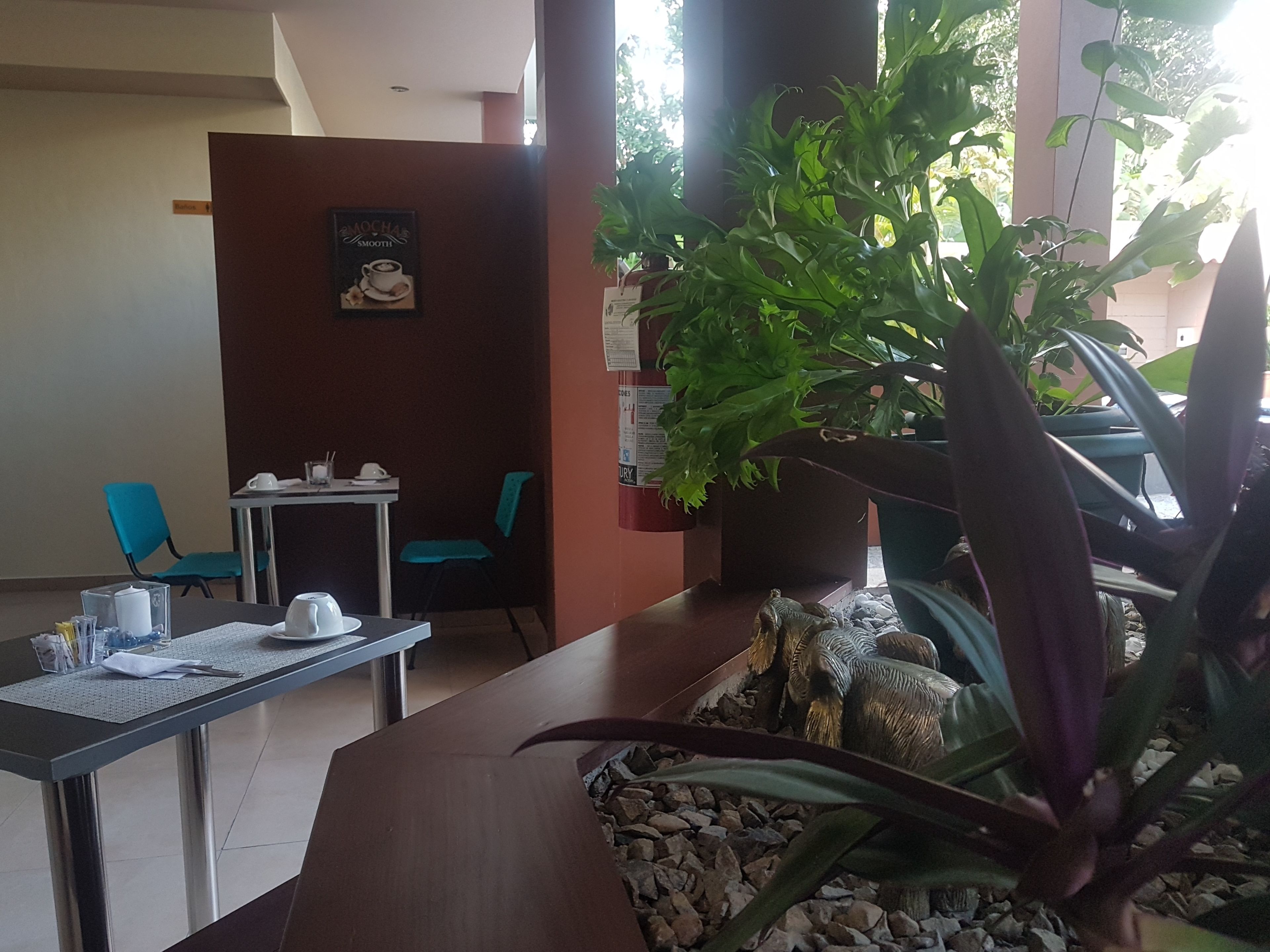 Servicio de la propiedad