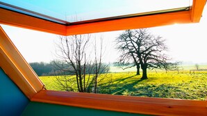 A skylight with a view of a grassy field and two leafless trees. - Gite L'archipel (Ellezelles)